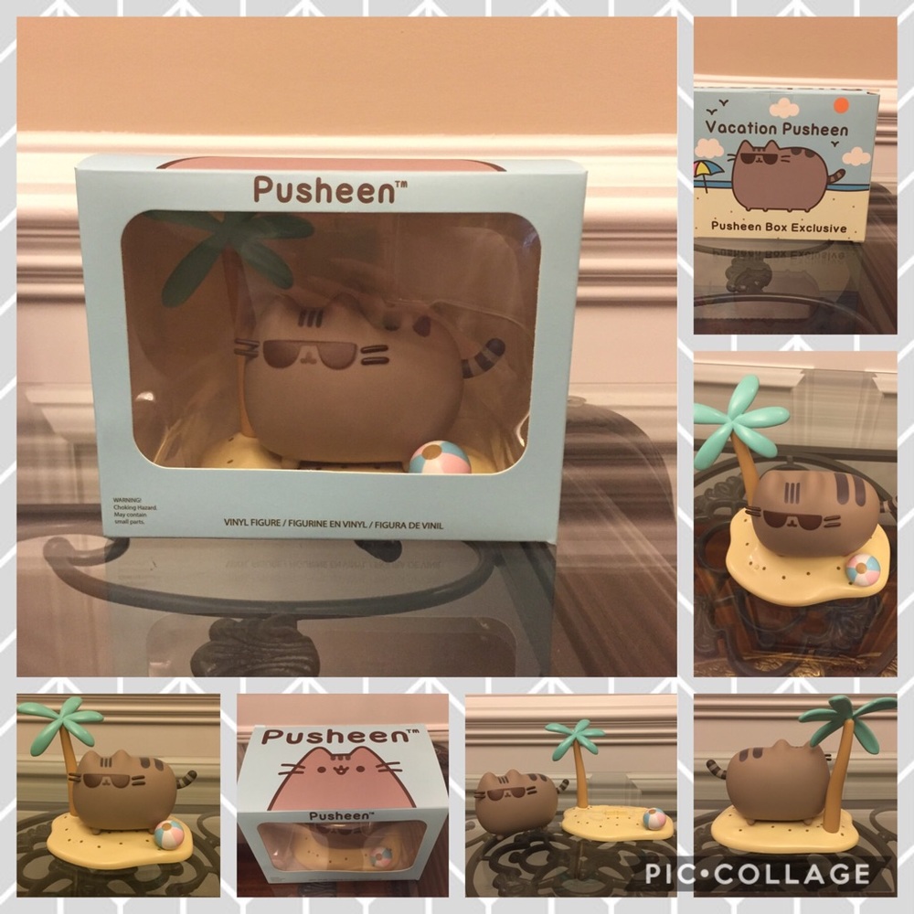 ✨Pusheen Box Exclusive Summer Pusheen✨